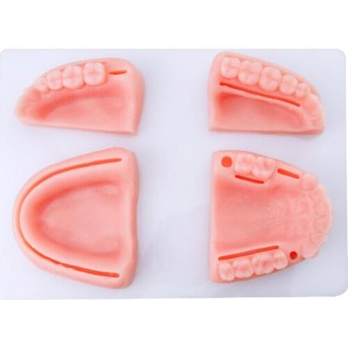 Simulation oral suture practice model set Gingival suture medical teaching training tools