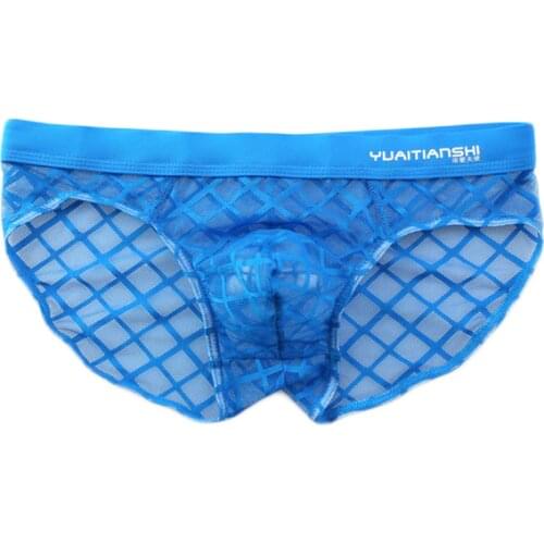 Sexy Mens Mesh Underwear Penis Pouch Cueca Gay Underpants Man Transparent Men Briefs Calzoncillos Hombre Panties Shorts