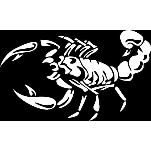 2020 Personalized Car Styling Bumper Stickers 3D Big Scorpion Reflective Vinyl Decal Sticker Scratch Body Cover