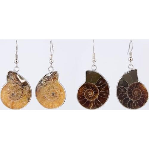 Natural Snail Ammonite Spiral Whorl Conch Shell Fossils Nature Color Animal Pendant Dangle Hook Earring Women Fashion Jewelry