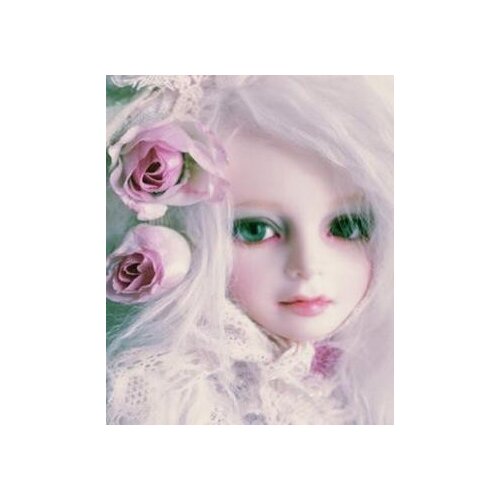 Free shipping!free makeup and eyes included! top quality 1/3 bjd doll girl female VOLKS Class A lovely white beautiful
