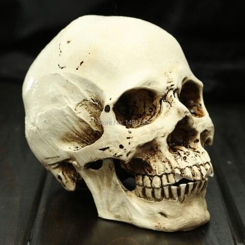 TAKAGISM game Door&Rooms supply Real life escape room game props decorate Resin White Head Skull Model Halloween Props