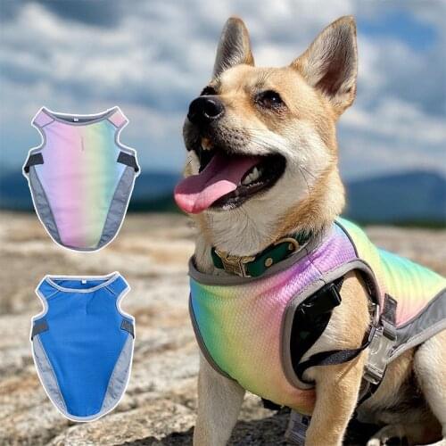 INS Summer Dog Cooling Rainbow Color Pet Cool Clothing Pet Heatstroke Prevention Vest Dog Vest Dog Cooling clothes