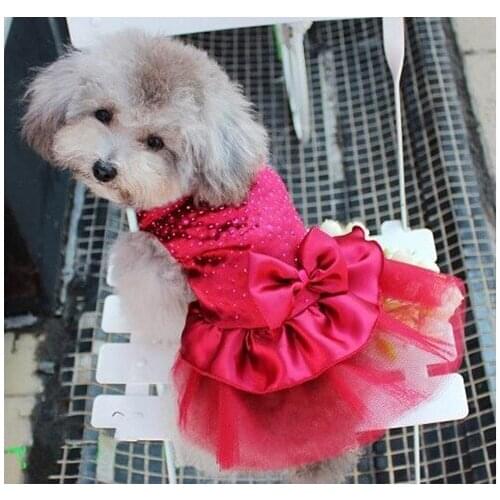 FOCUSIGN Dresses For Dogs