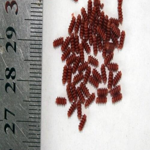 50pcs/lot Ho Train Model Sand Table Contact Net Accessory Insulator