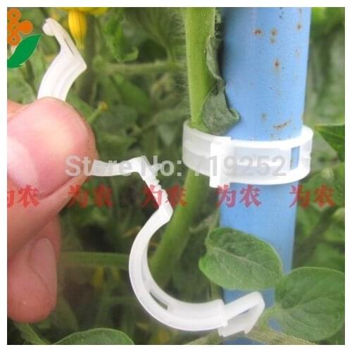 50pcs Quality Durable Plastic Sling Clips Fastener Plant Vines Tomato Fix Snap Joint Vegetable Bush Tendril Binder Farming Clip