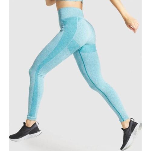 Fitness Pants Womens Seamless High Waist Gym Tight Yoga Pants Quick Drying Sports Pants Yoga Leggings