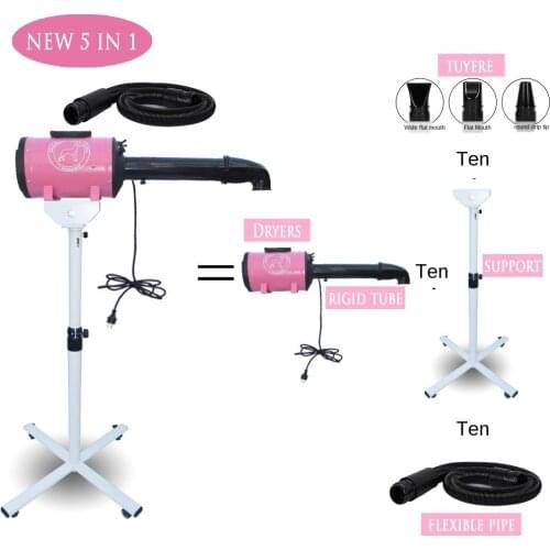 The 5 In 1 Sets Brand Cheap Dog Grooming Dryer Pet Hair with Holder Rack Blower 220v/110v 2400w Eu Plug Models