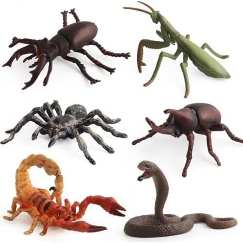 6 Kinds Cognitive Toys Simulation Cobra/Mantis/Spider Figure Collectible Toys Solid Insect Animal Action Figures Kids