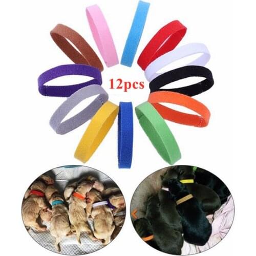 12Pcs Dog And Cat Identification Collar Velcro Adjustable Length Comfortable Collar Small And Medium Pet Supplies