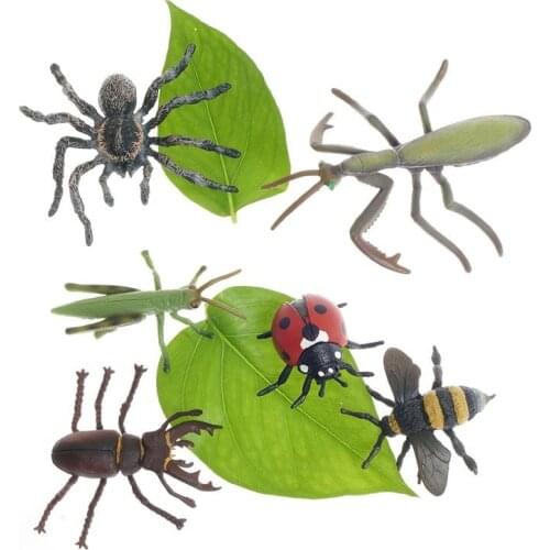 PVC Insect Models Montessori Materials for Language Area Early Educational Toys