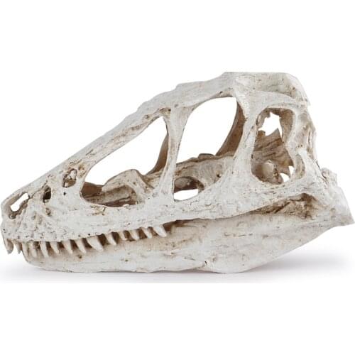 Triceratops Tyrannosaur Rex Skull Model Decoration Dinosaur Figure Toy Collector Skull Fossil Teaching Skeleton Model Home Decor