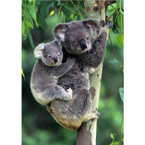 Round Diamond Painting 5D DIY Animal Koala Diamond Embroidery Cross Stitch Kit Handmade Gift Home Decoration