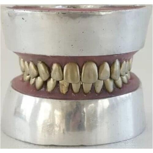 Metal teeth extraction model dental model