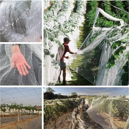 1m Anti-bird Net Fruit Tree Grape Protection Netting Plant Care Covers Crops Fish Aquaculture Protection Net Airport Bird-proof