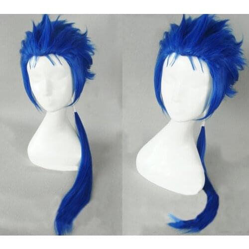Fate/stay night Lancer Cu Chulainn Cosplay Wig