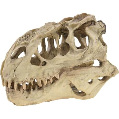 Fish Tank Resin Dinosaur Skull Model Decorations Tyrannosaurus Rex Skull Cave Landscaping Decoration Home Decor