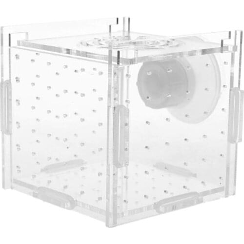 Aquarium Fish Breeding Isolation Box Baby Fish Incubator Hatch Breeder Fish Tank85WC
