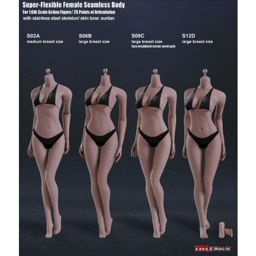 TBLeague Phicen S02A S06B S09C S12D / Super-Flexible Seamless Body with Stainless Steel Skeleton In Suntan Middle Breast Size