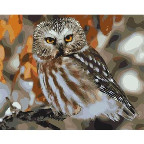 DIY Digital Painting By Numbers Package Deciduous owl oil painting mural Kits Coloring Wall Art Picture Gift frameless
