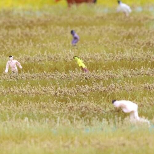 Model Rice Field Series Scene Toy 1:72-1:87 Model Grass Ho Model Train Sand Table DIY Miniature Landscape Material One Box