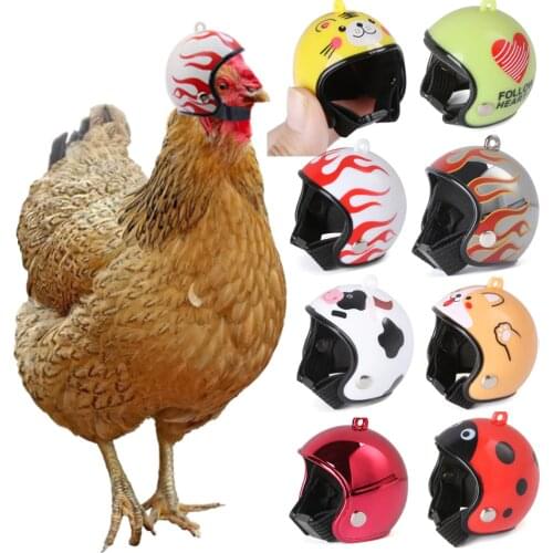 1PC Funny Pet Protective Headgear Chicken Duck Helmet ABS Toy Small Cap Bird Sun Rain Protection Hats Pet Costumes Supplies