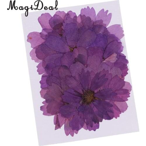 20pcs Pressed Real Dried Flower Purple Coreopsis Jewelry Making Accessories for Candle Making DIY Craft Resin Casting Ornament