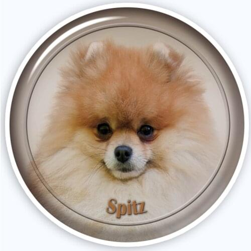 A0683# Various Sizes Removable Decal Spitz 88 Sticker Waterproof Accessories on Bumper Rear Window Laptop