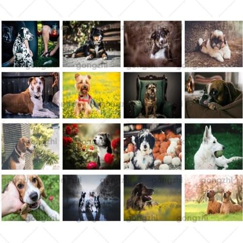 Customized Animal Theme Cute Pet Dog Labrador Round/ Square Diamond Painting Acrylic Diamond 5D Diy Home Diamond Painting Set