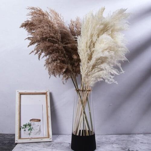 10pcs Dried Pampas Grass Home Interior Vintage Decor Natural Dry Flower Plant Country Wedding Patio Decoration Party Backdrops