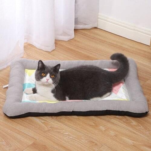Cat Beds Mats Kitten Bed Mat for Cats House of Products Comfort and Houses Accessories Supplies Space to Take Care Pets Plush