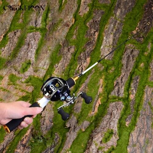 60/70cm Ice Fishing Rod with Solid Tip Winter Fishing Rods Boat Portable Pocket Combo Pen Pole Lures Spinning Casting Hard Rod