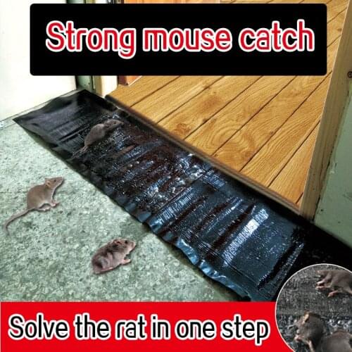 1.2M Mouse stickers super strong sticky mouse board rodent magic carpet artifact grab mouse clip medicine mousetrap household