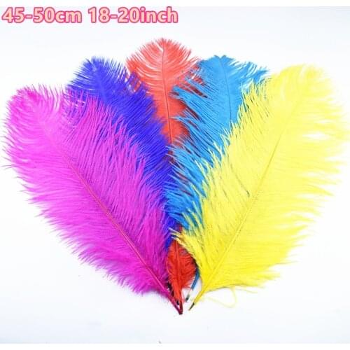 10Pcs/Lot Colored Ostrich Feathers for Crafts 45-50CM White Ostrich Feather Decor Feathers for Needlework DIY Plumas Decoracion