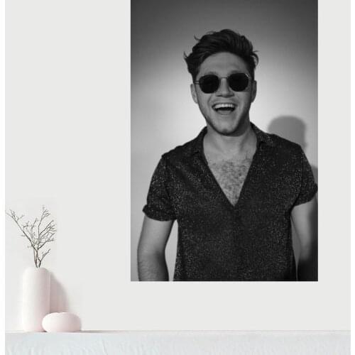 Custom Canvas Wall Decor Niall Horan Colorful Poster Cloth Wall Silk Fabric Posters And prints Home Decor Painting