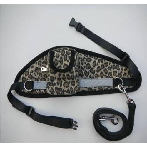 Free Shipping New Arrival Retail Leopard Dog Leash With Pocket For Dogs Owner