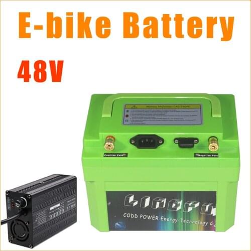 Electric Bike 48V lithium Battery with 5A Aluminum alloy Charger SMT BMS