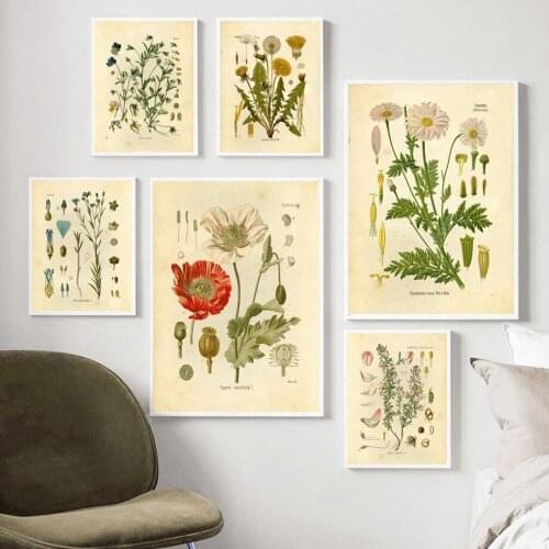 Home Decoration Vintage Plant Poster Prints Painting Canvas French Flower Picture Wall Artwork No Frame For Bedside Background