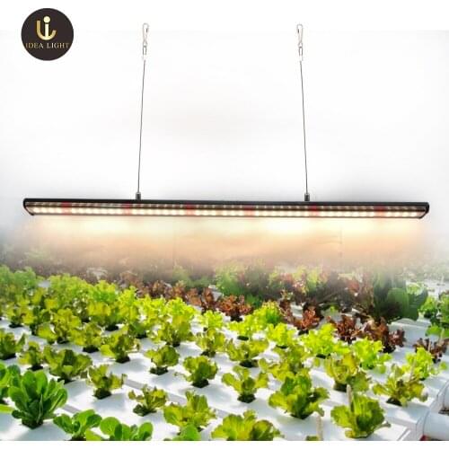 Model VP60*8 Full spectrum Led grow lights for indoor plants 8 bars waterproof Hydroponic grow lights 480w LM30B/LM301H chip