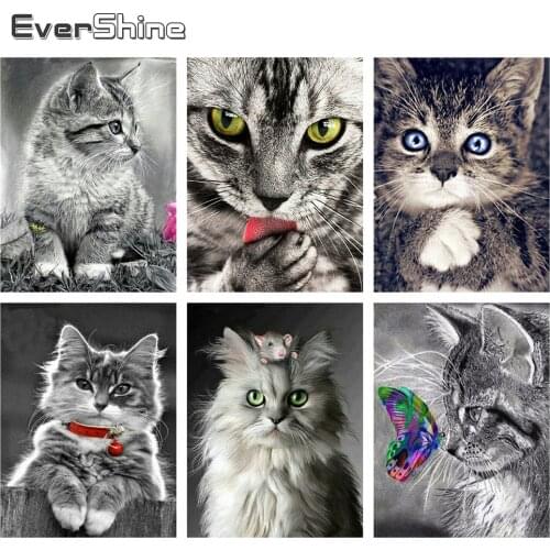Evershine Diamond Painting Cat Full Square Drill Beads Embroidery Painting Black White Animal Rhinestone Picture Home Decoration