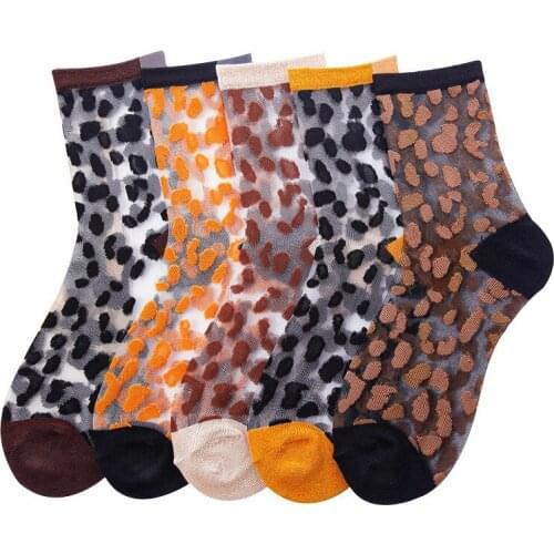 Spring and Summer Thin Crystal Socks 2019 New Autumn Net Eye Socks Leopard-print Silk Socks Sexy Womens Glass Silk Socks
