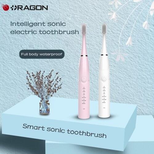 Sonic Toothbrush Electric New Toothbrush Electric Recharge Charging Replaceable Battery Brush Tooth Brushes Replacement Heads