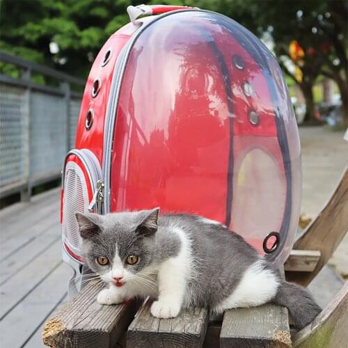 Outdoor Travel Backpack Transparent Space Cat Carriers Pet Bubble Backpack Ventilate Transparent Space Capsule for Travel