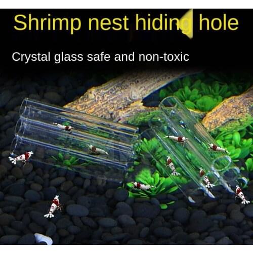 From the house Breeding to avoid Watch the shrimp The decoration Shrimp hiding fish aquarium aquariums fish tank