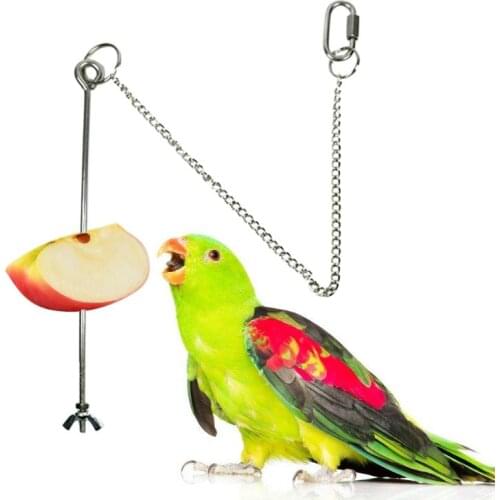 Stainless Steel Bird Chicken Veggies Skewer Food Fruit Holder for Hens Hanging Vegetable Feeder Foraging Toy Bird Treat Skewer
