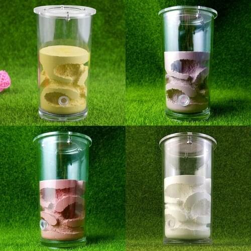 Cup Shaped Acrylic Ant Farm And Ant Nest Cup Plaster Pet House Reptile Terrarium Insect Supplies