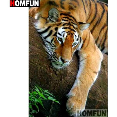 HOMFUN Full Square/Round Drill 5D DIY Diamond Painting "Animal tiger" 3D Embroidery Cross Stitch 5D Home Decor A14992