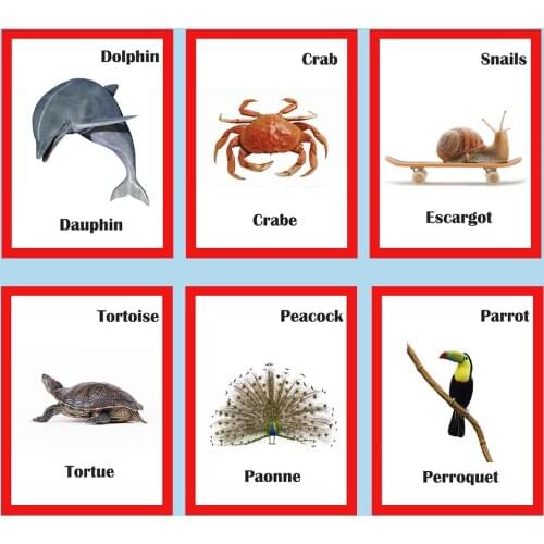 30Pcs Kids French/English Animals Learning Card Flashcards Games Educational for Kids Children Juguetes Educativos Children Toys