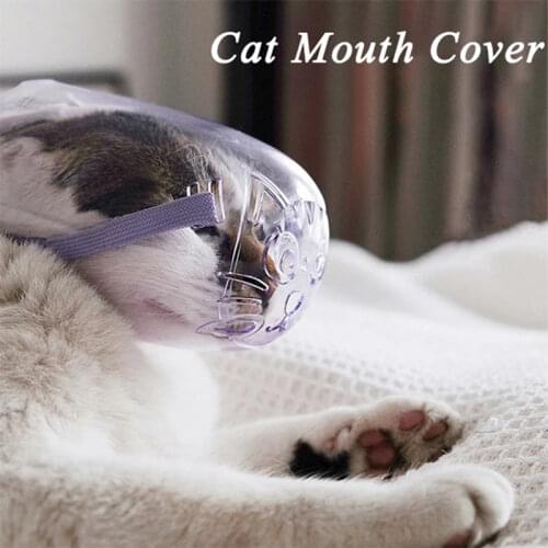 Breathable Cat Dog Muzzle Break Pet Mouth Mask For Puppy Pet Bath Cleaning Tool Transparent Anti-scratch Holds Mouth Cover
