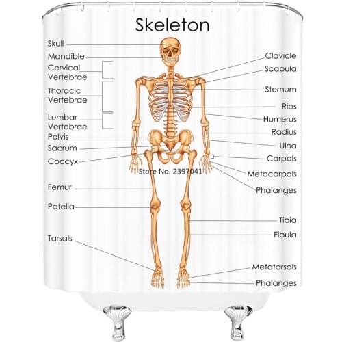 Human Anatomy Shower Curtain Complete Chart of Different Organ System Cell Life Medical Illustration Bathroom decor 180x180cm